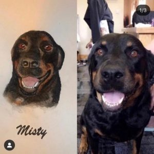 Pet Watercolour Portraits